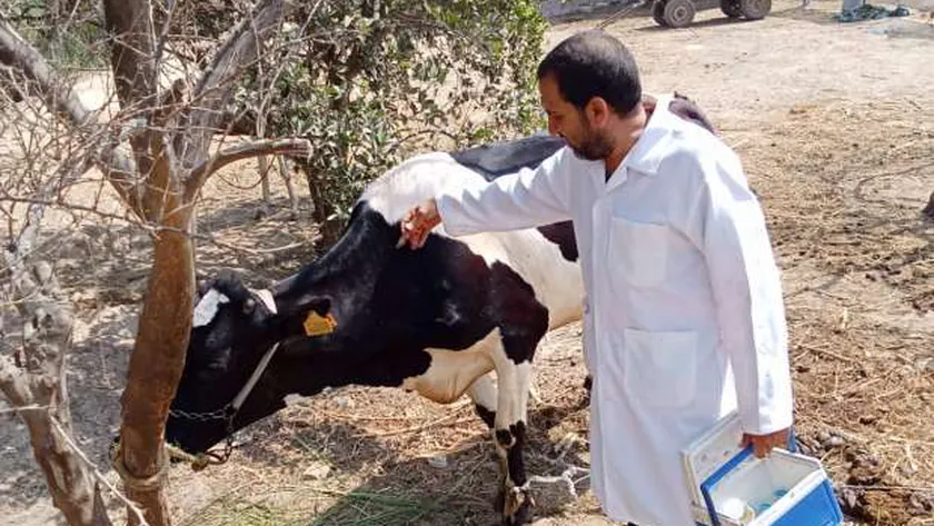 19203330921721659298