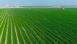 19 2023 638348598226943920 694 3