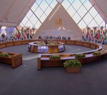 20241209133044746 3 360x320