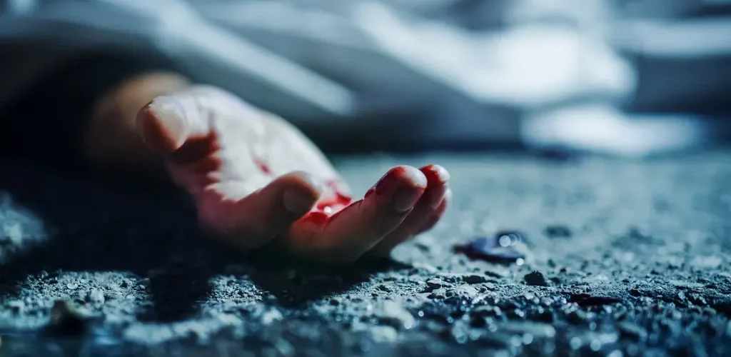 B69c1d41 d578 448c a10b f864eb1c3bcc 1024x500