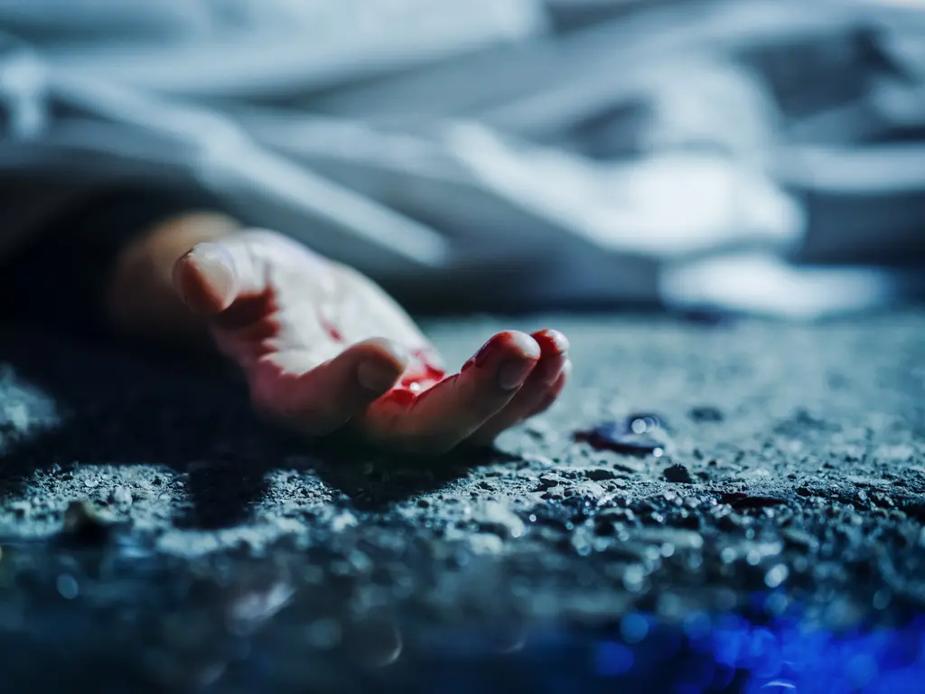 B69c1d41 d578 448c a10b f864eb1c3bcc