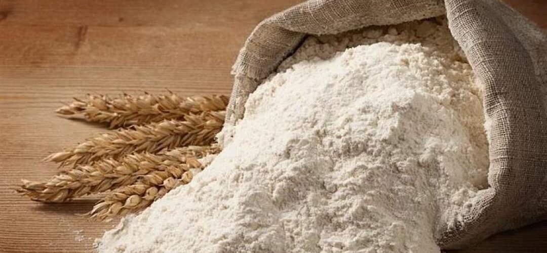 مصطفى سالم 877 010748 3 1080x500